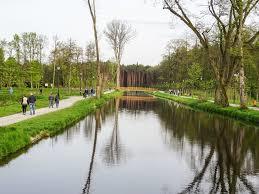 Zwierzyńczyk
