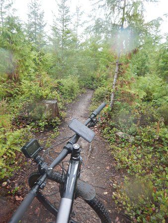 Cumberland Forest Mountain Bike Trails