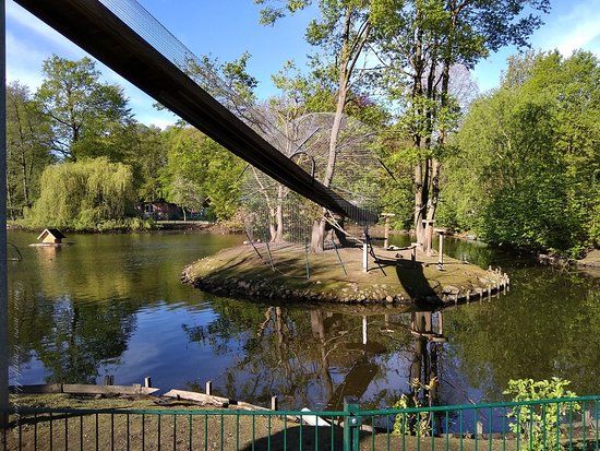 Petermoor Natur- & Tierpark