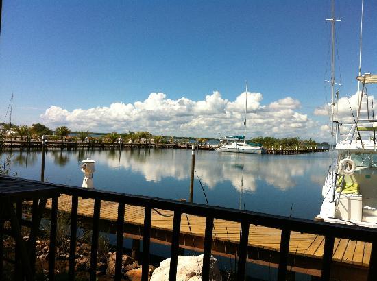 Habanero Mexican Cafe & Bar