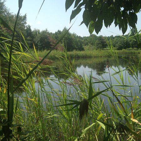 Woodville Park