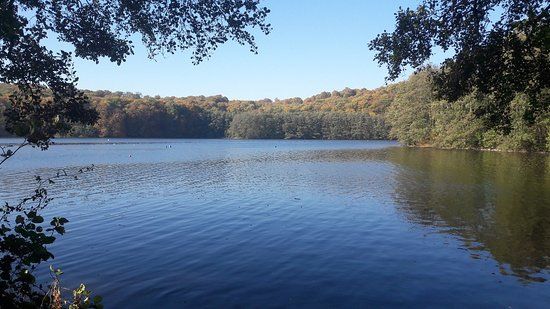 Rundwanderweg um den Haussee