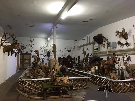 Tiermuseum Regenhütte