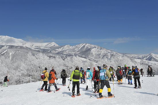 Hakuba Iwatake Snow Field
