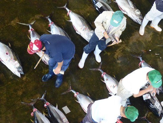 Katsuura Kyochiho Oroshiuri Ichiba