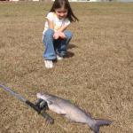 Piccadilly Cafeteria