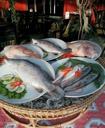 Fish and Thai Restaurant