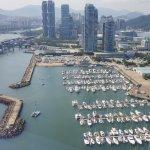 Dried Pollack County