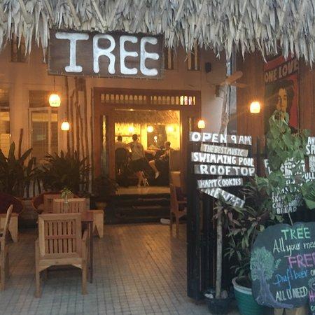 Tree Bar & Restaurant