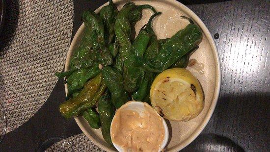 SwitcHouse Plates & Pours