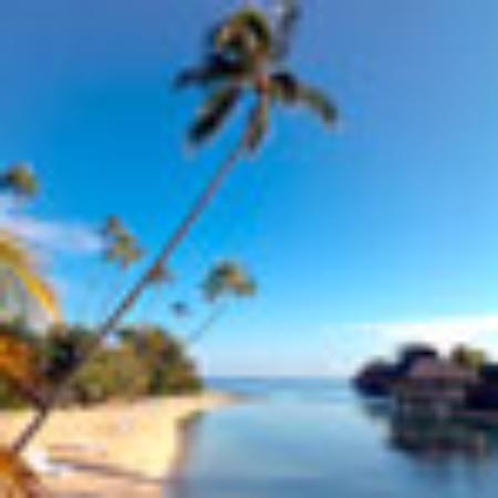 Pacific Thai Cuisine