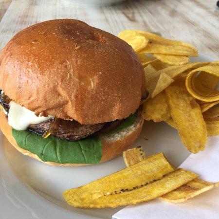 Paddle Coffee Roasters