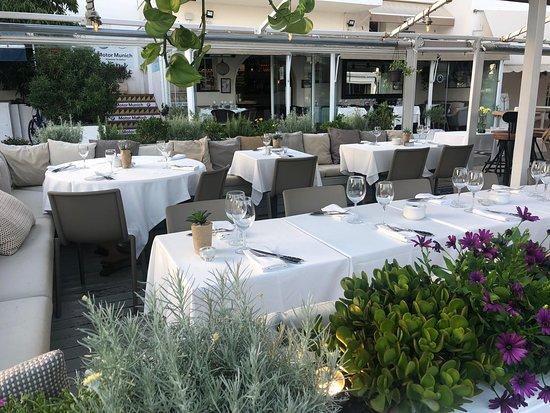 Pierre by Rino Sitges