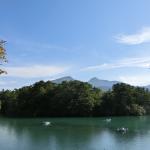 Steak House Rengatei