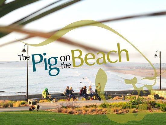Pig on the Beach