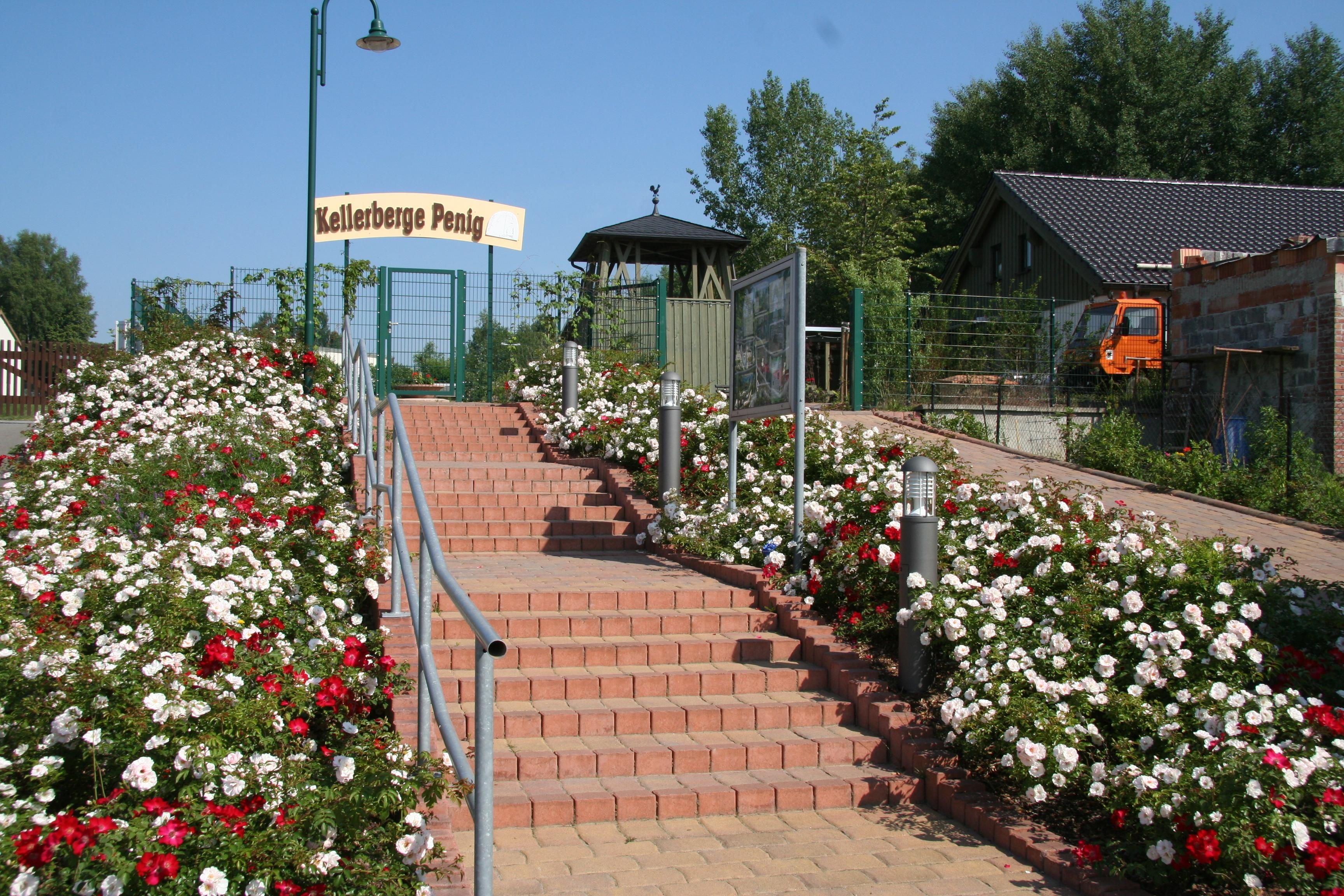 Peniger Kellerberge