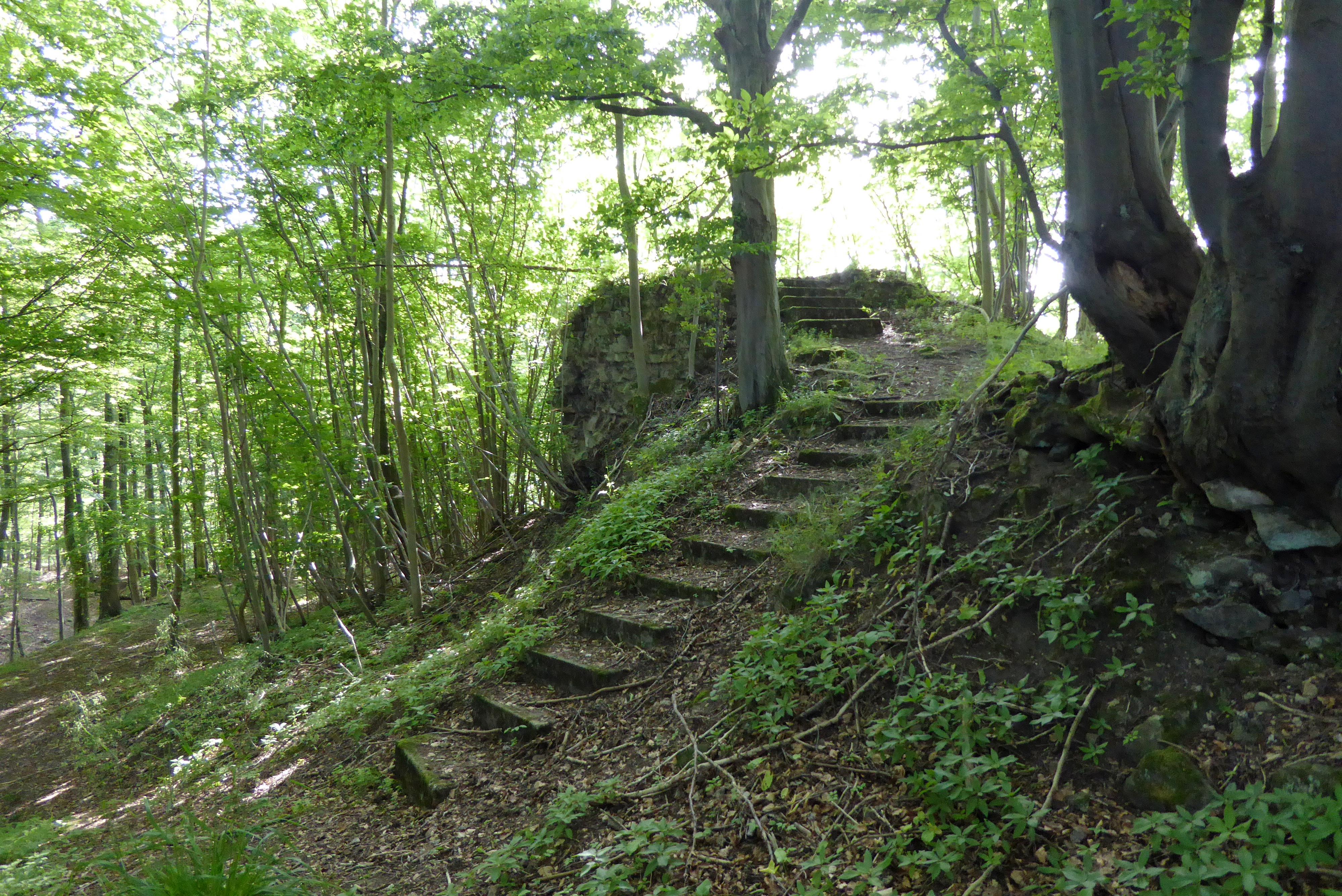 Burg Ziegenberg