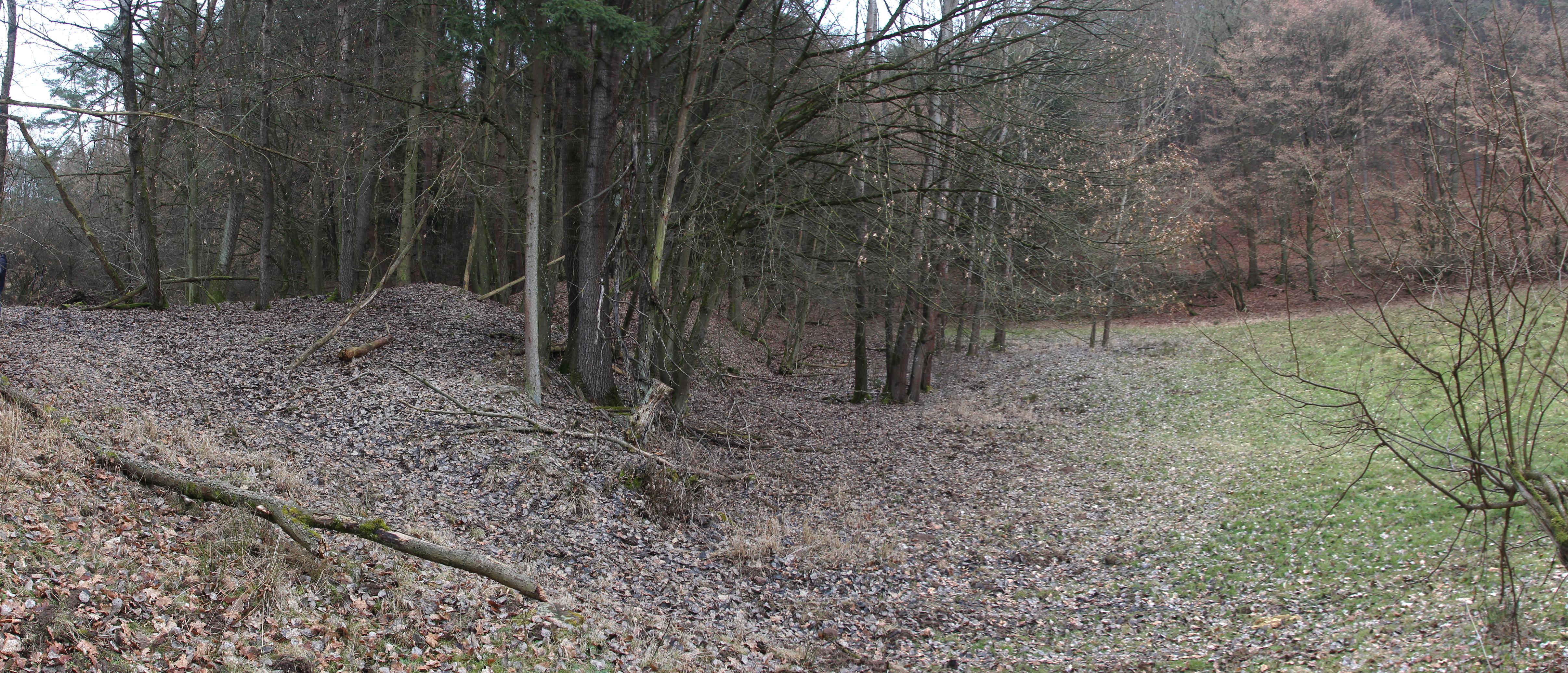 Burg Hundsbach
