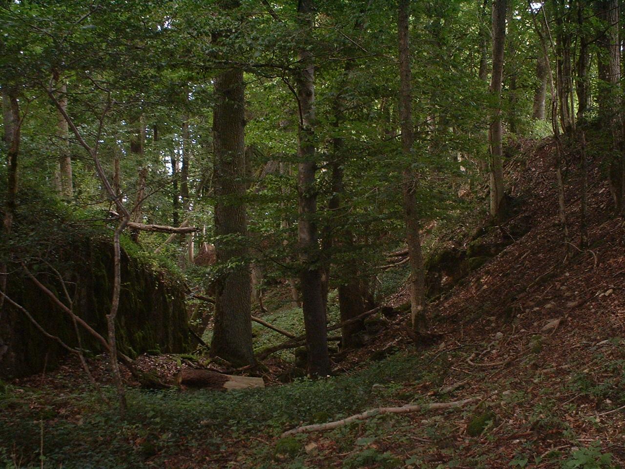 Burg Hertenstein