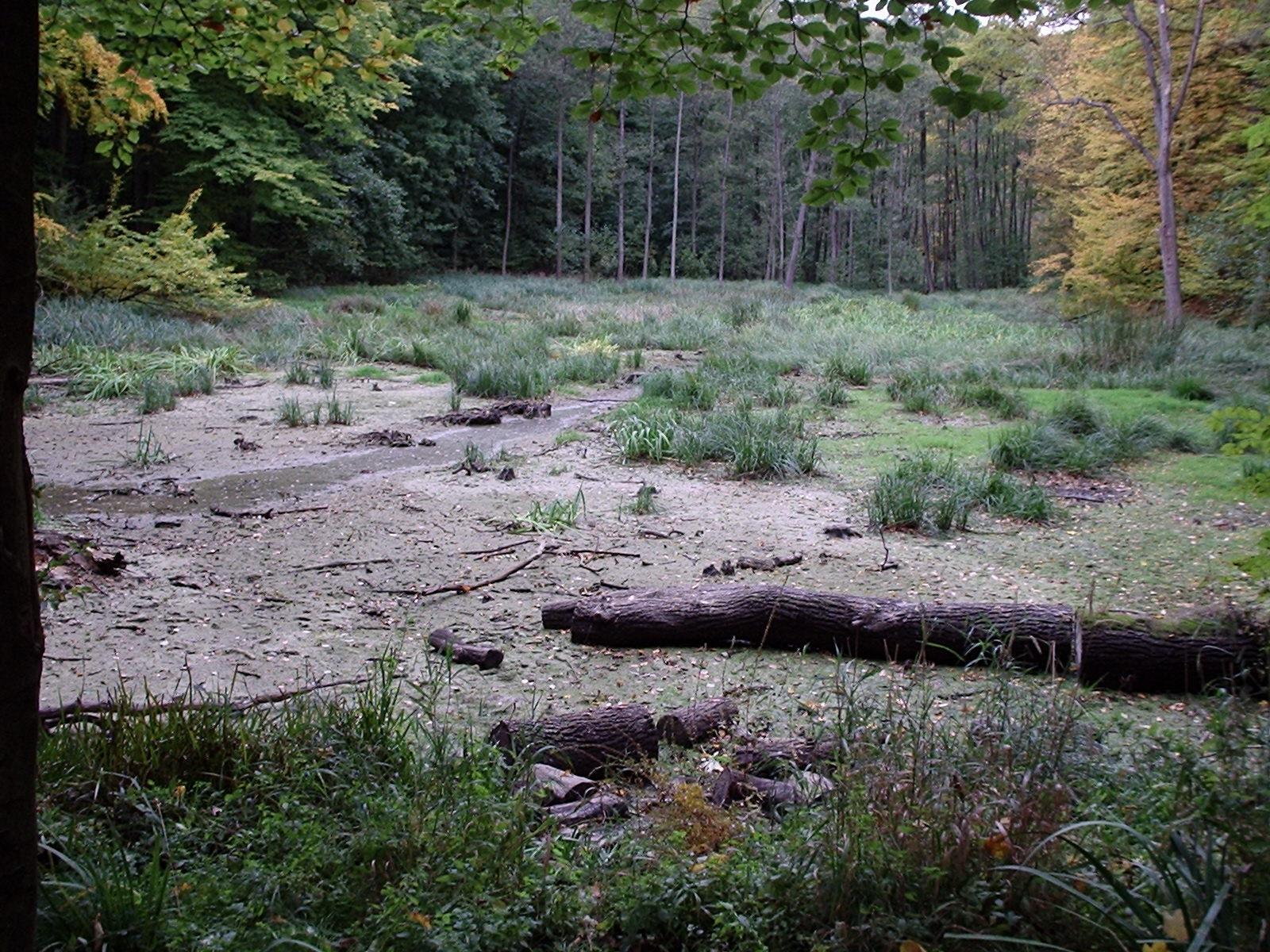 Hünenburg