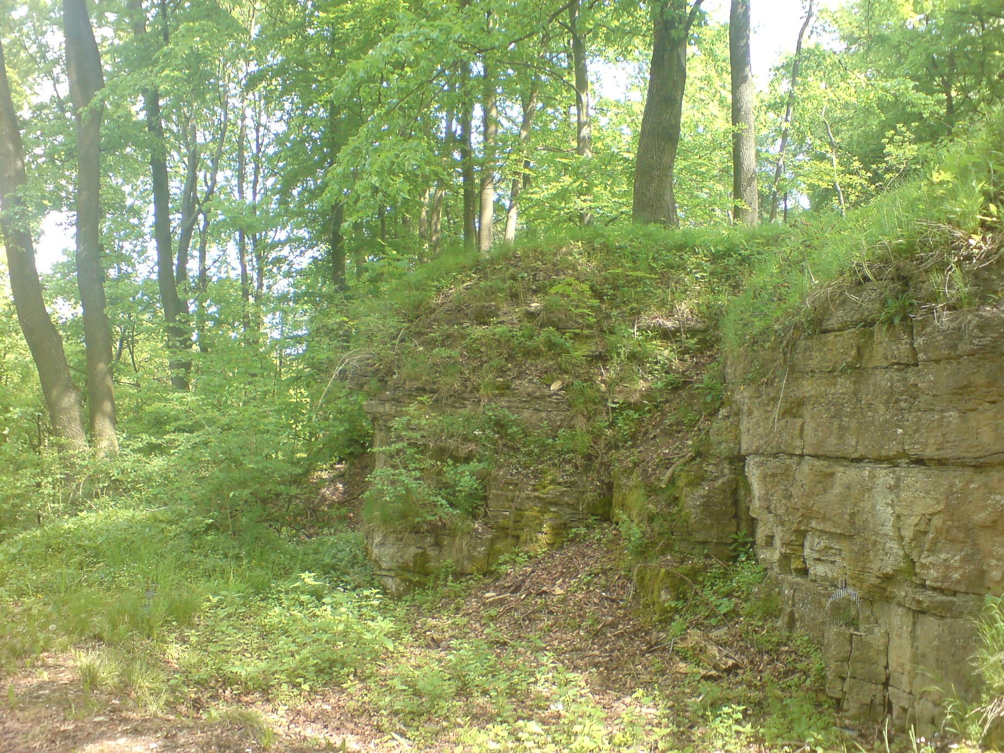 Burgruine Birkenstein