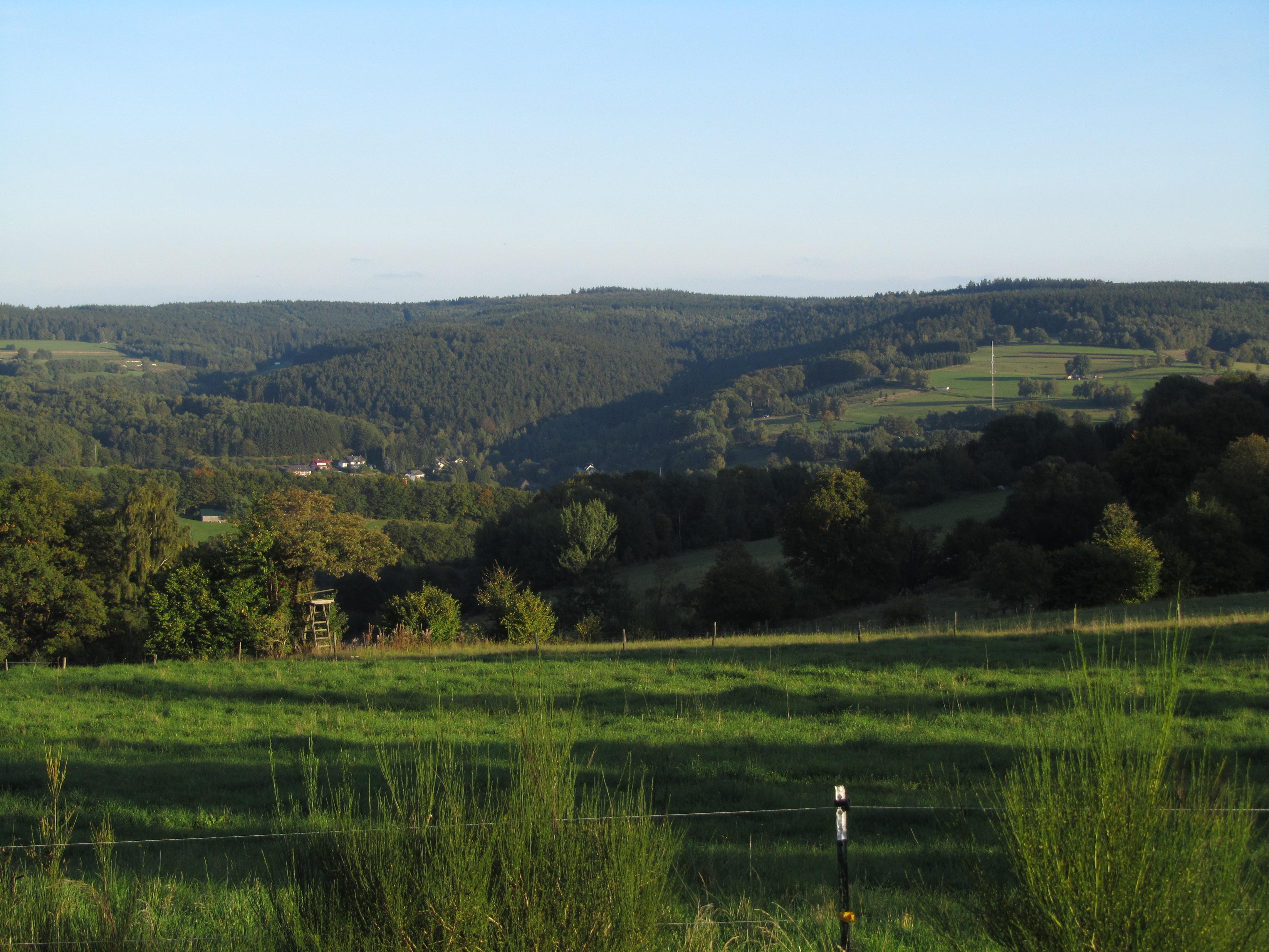 Hermannskoppe