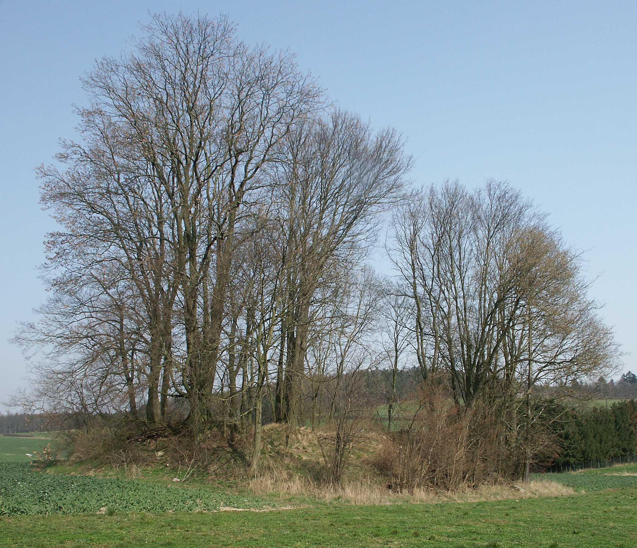 Burgruine Altwehrda