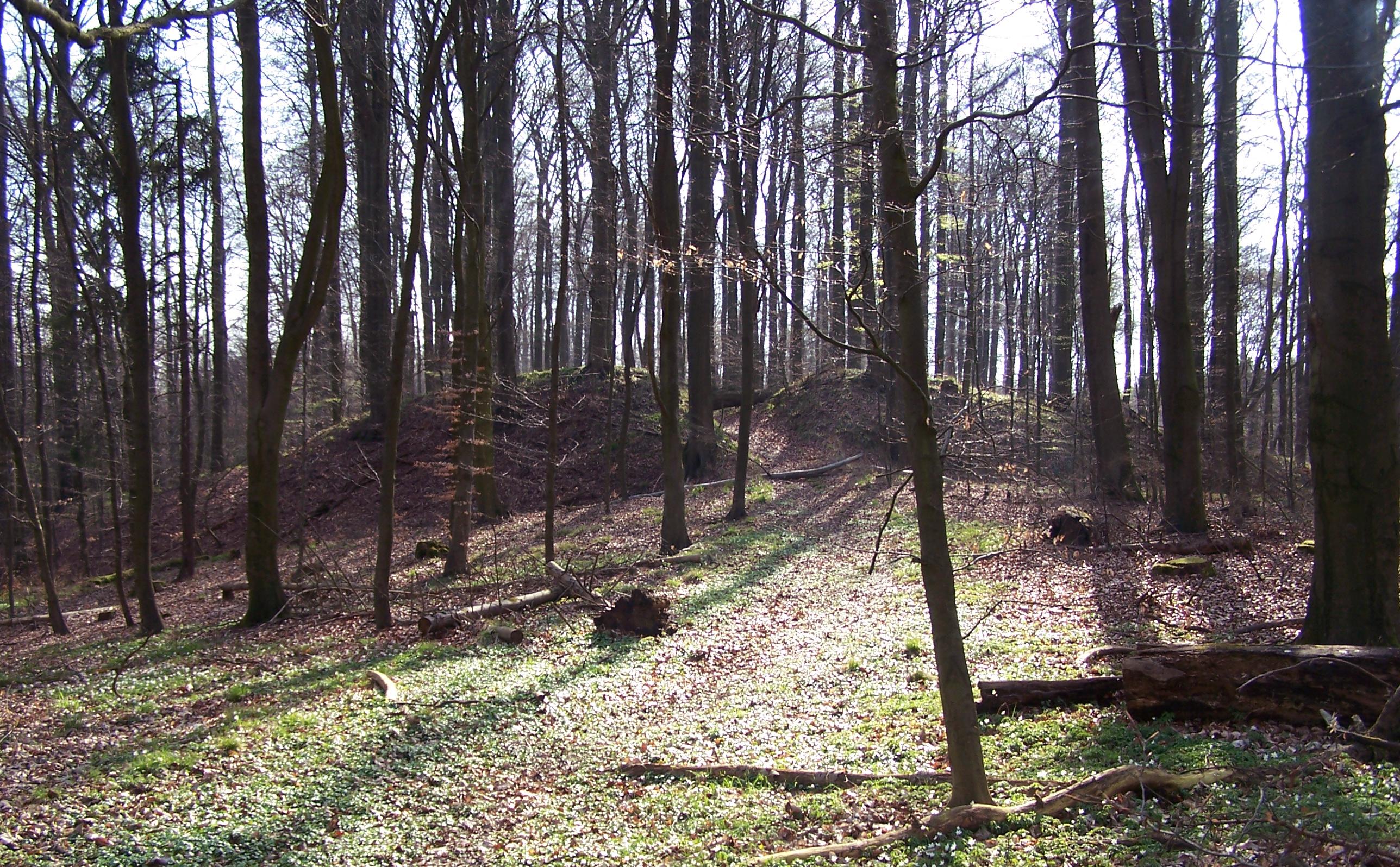 Burgwall Schlemmin
