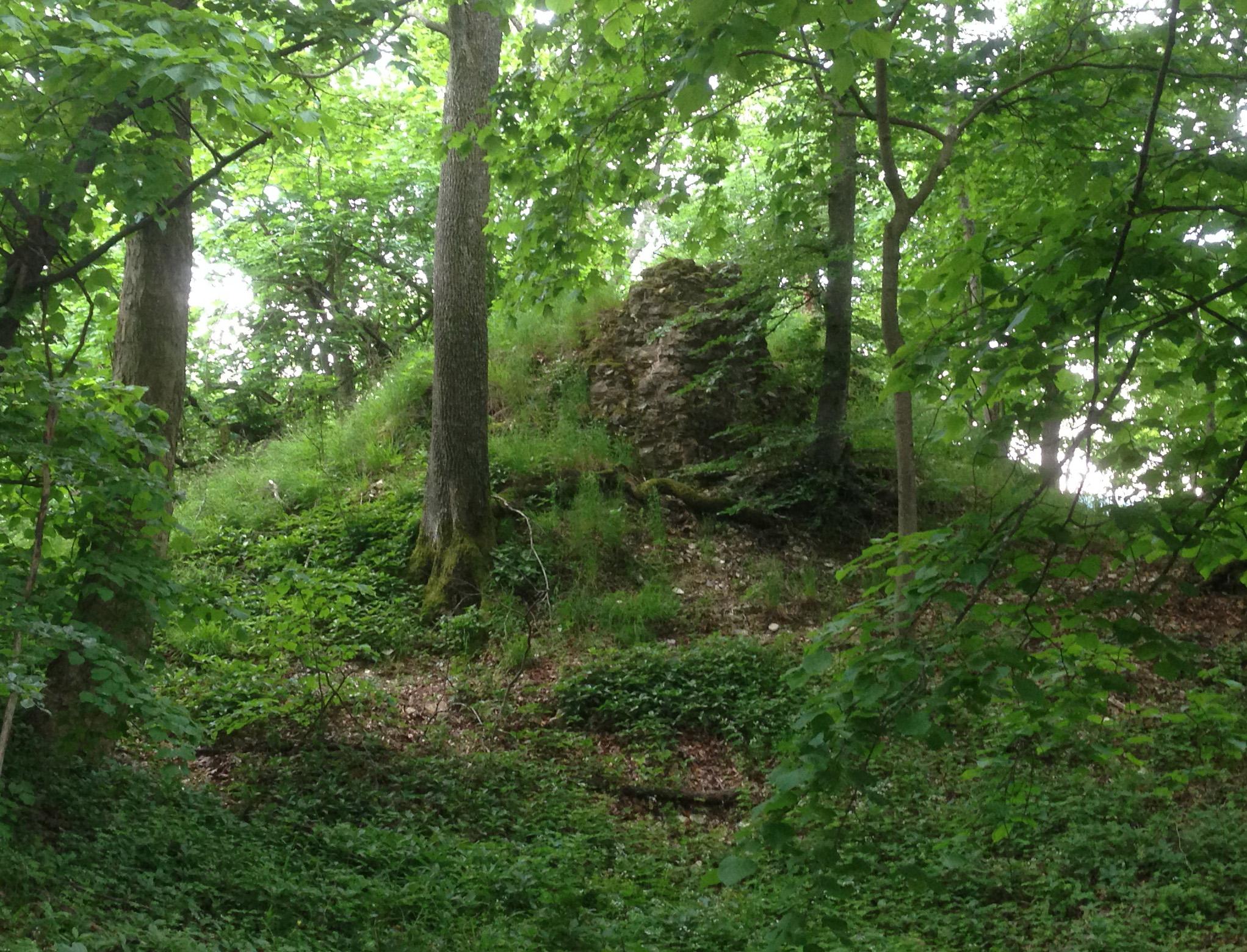 Burgruine Gromberg