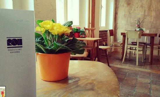 ROH druzstevni kavarna