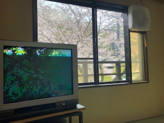 Sanage Hot Spring Hotel Kinseikaku Karaoke Sanageza