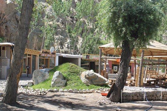 Coffee Tree Cafe and adventure hub