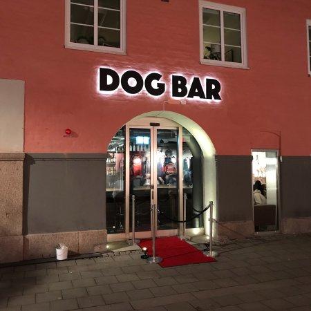 Dog Bar