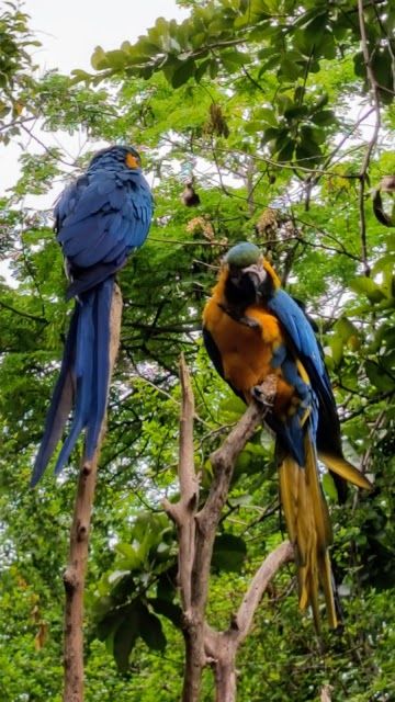 Parque Histórico Guayaquil