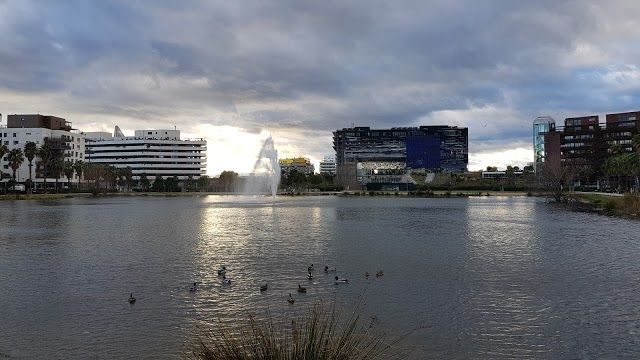 Bassin Jacques Coeur