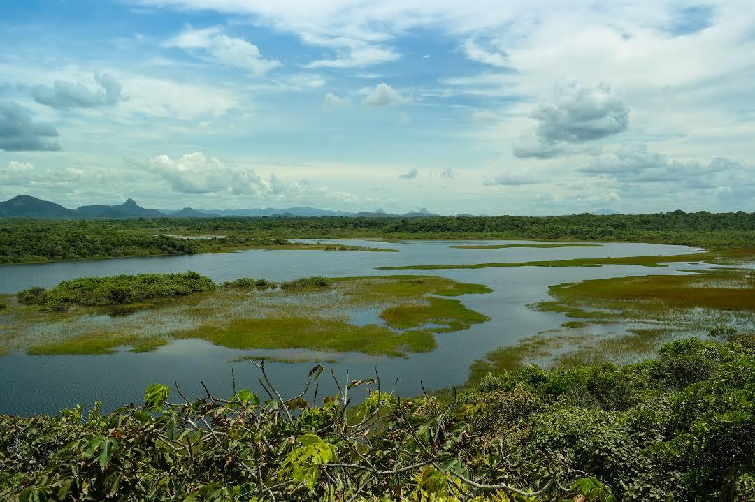 Parque Estadual Paulo César Vinha
