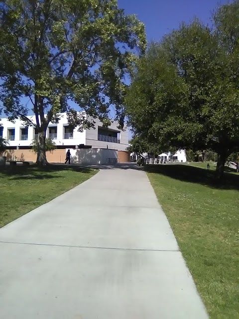 California State University Northridge