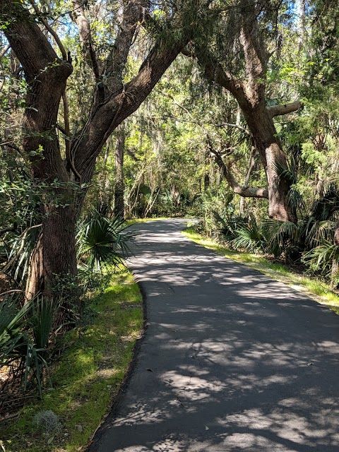 Palmetto Islands County Park