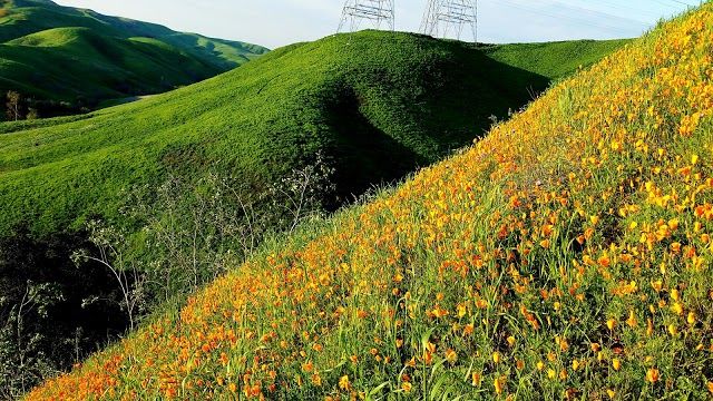 Chino Hills State Park