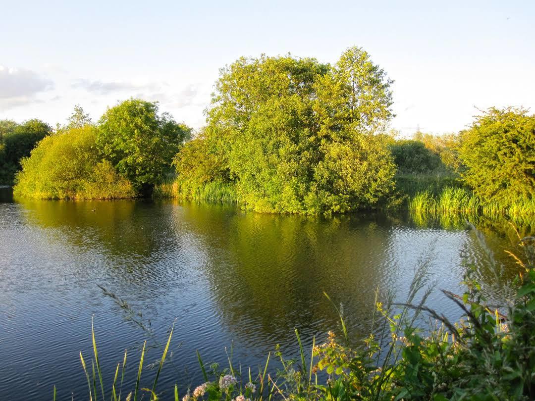Attenborough Nature Reserve