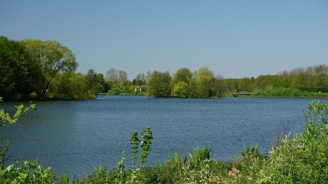 Obersee