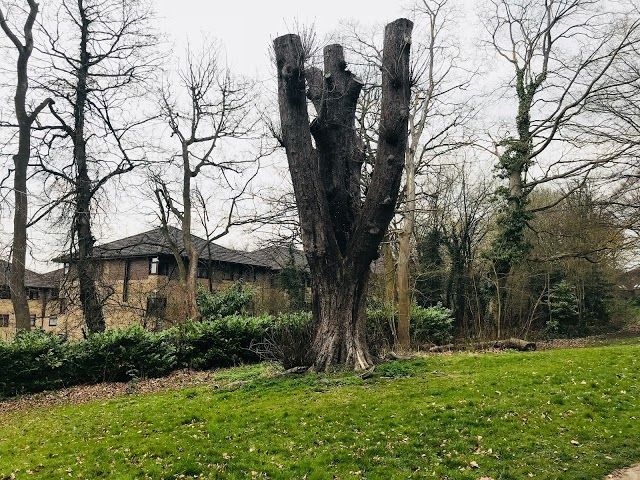 Headington Hill Park