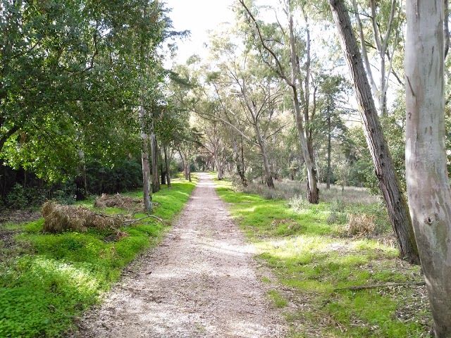Parque Forestal de Monsanto