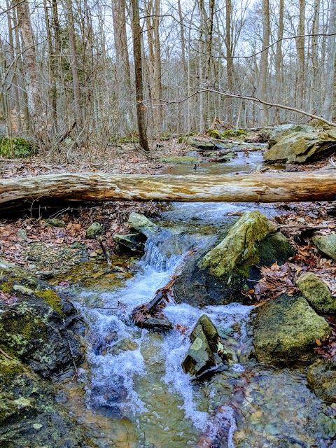 Catoctin Mountain Park