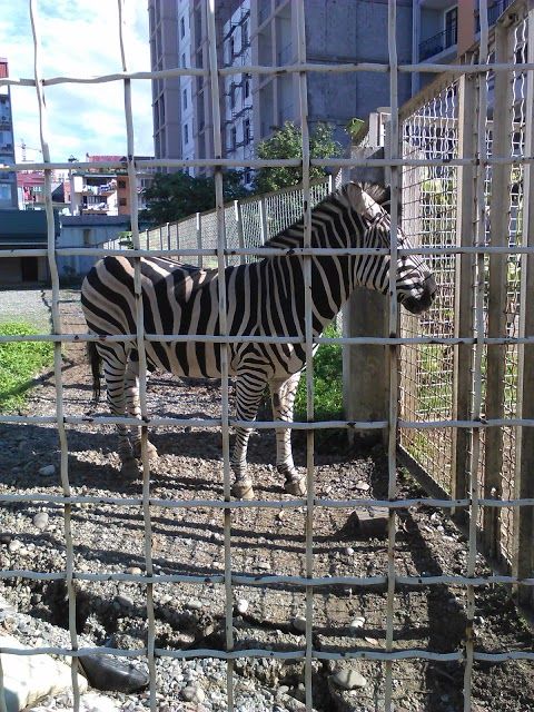 Batumi City Zoo