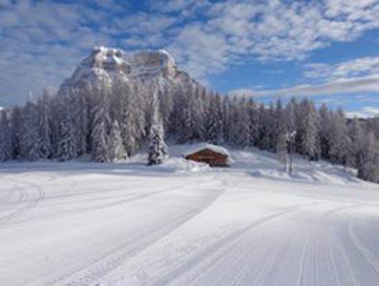 Ristoro Baita Cristelin