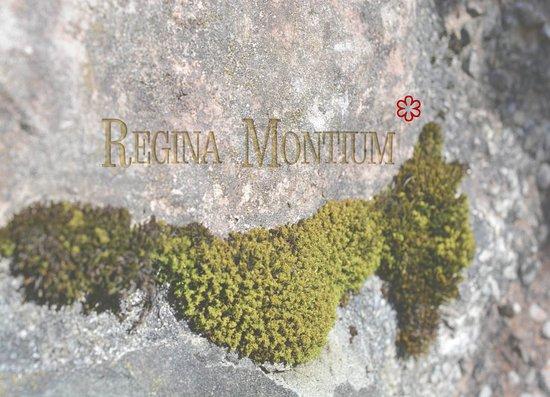 Regina Montium