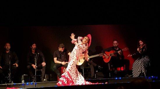 Palacio del Flamenco