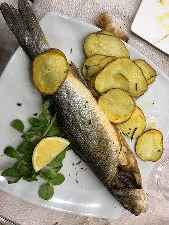 Le Meraviglie del Gusto