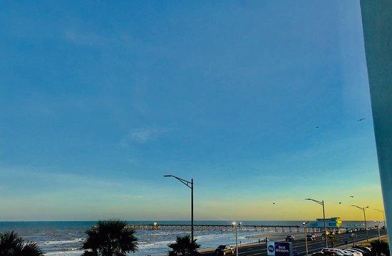 Seafood Depot Express